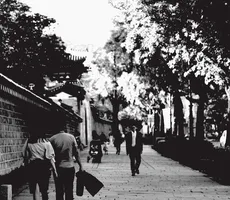 overlapping-image